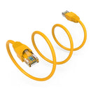 2 Foot Cat6A UTP Ethernet Network Booted Cable