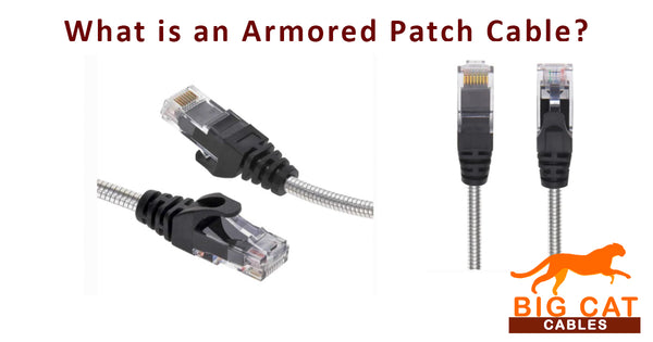 What is an Armored Patch Cable?