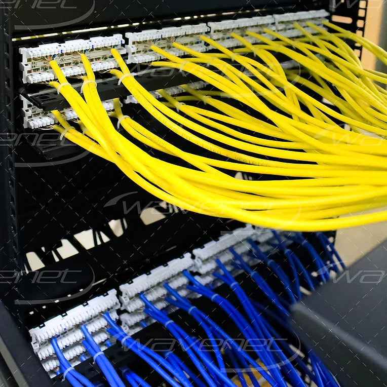 WAVENET 48-Port 2U Category 6 110-Type Patch Panel