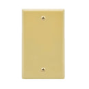 Blank Wall Plate