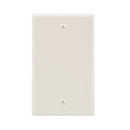 Blank Wall Plate