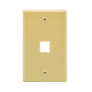 1 Port Keystone Wall Plate