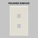 2 Port Keystone Wall Plate