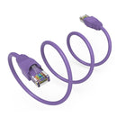 10 Foot Cat6A UTP Ethernet Network Booted Cable