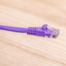 50 Foot Cat5E UTP Ethernet Network Booted Cable
