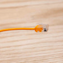 2 Foot Cat6A UTP Super-Slim Ethernet Network Cable 32AWG