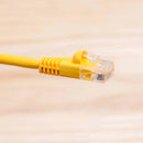 20 Foot Cat6 UTP Ethernet Network Booted Cable